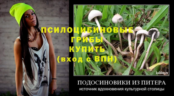 ECSTASY Козельск