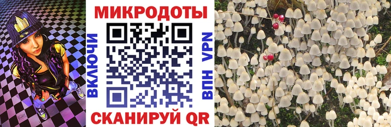 Псилоцибиновые грибы Cubensis  Купить где  Звенигород 